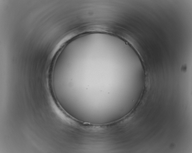 X0000114181139200910221707