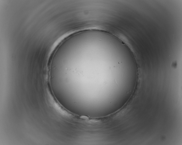 X0000114181140200910221707