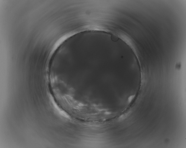 X0000114181141200910221707