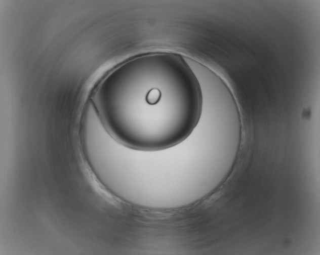 X0000114181144200910221707