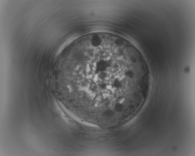 X0000114181145200910221707