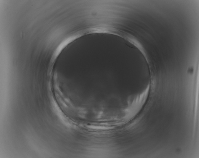 X0000114181146200910221707