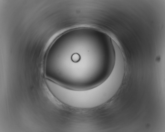 X0000114181148200910221708