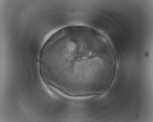 X0000114181149200910221708