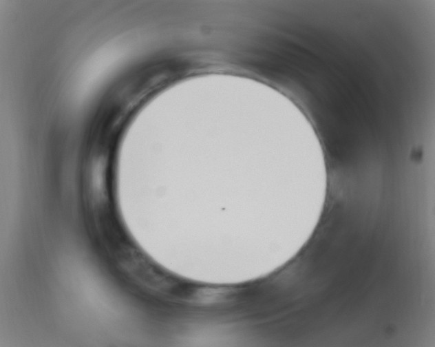 X0000114181150200910221708