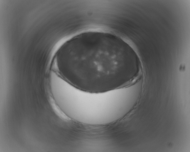 X0000114181152200910221708