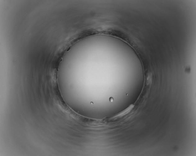 X0000114181156200910221707