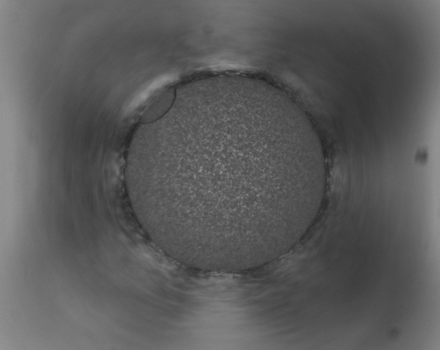 X0000114181157200910221707