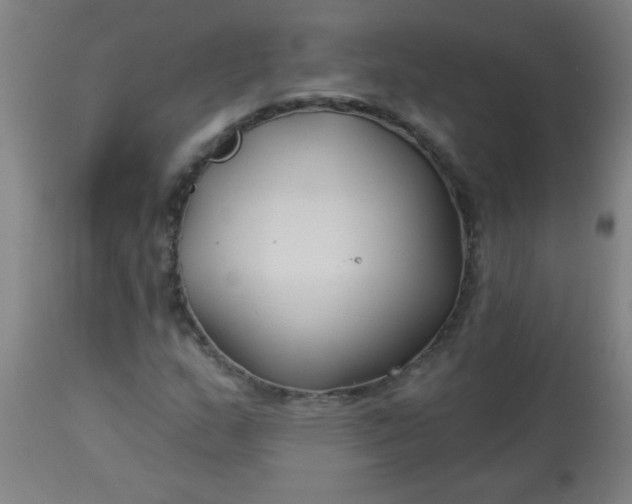 X0000114181159200910221707