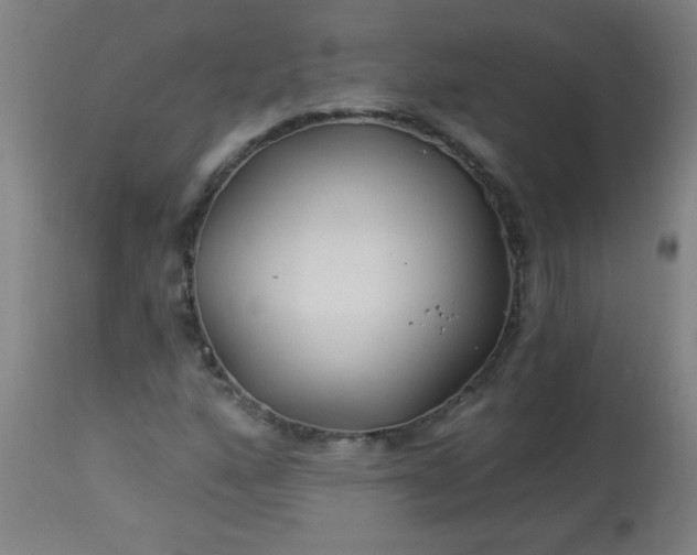 X0000114181160200910221707