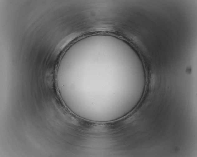 X0000114181162200910221707