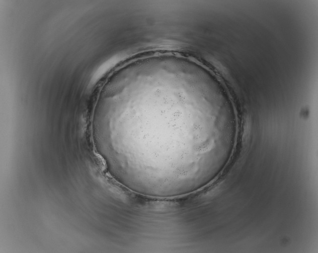 X0000114181163200910221707