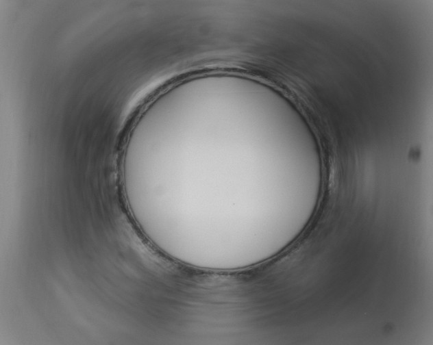 X0000114181164200910221707