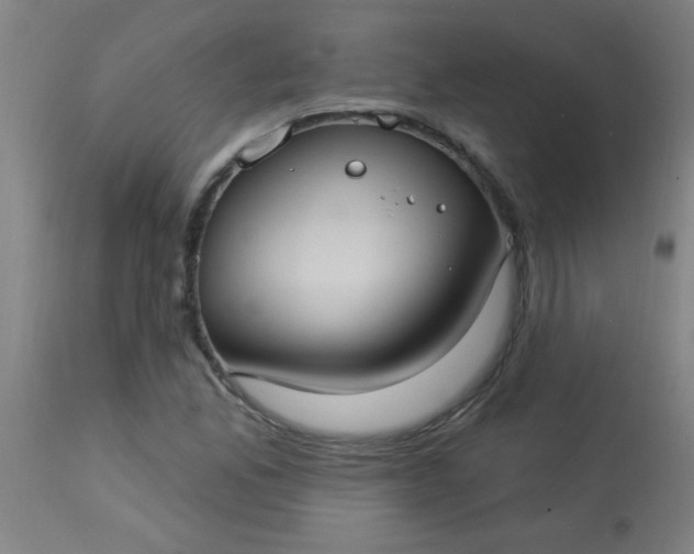 X0000114181165200910221707