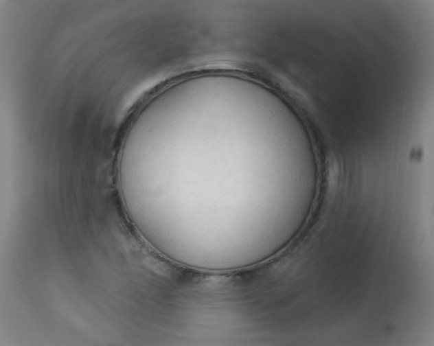 X0000114181166200910221707