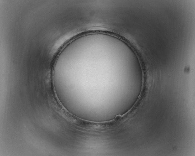 X0000114181167200910221707