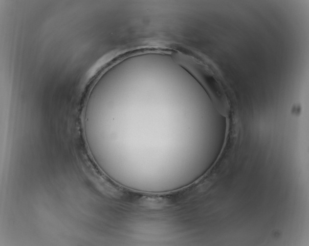 X0000114181168200910221707