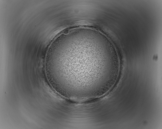 X0000114181169200910221707