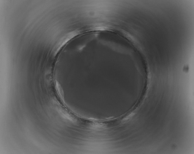 X0000114181170200910221707