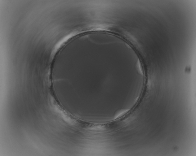 X0000114181174200910221707