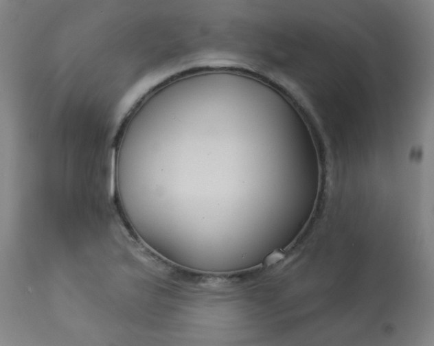 X0000114181175200910221707