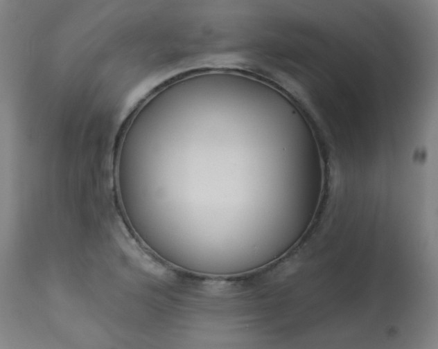 X0000114181176200910221707