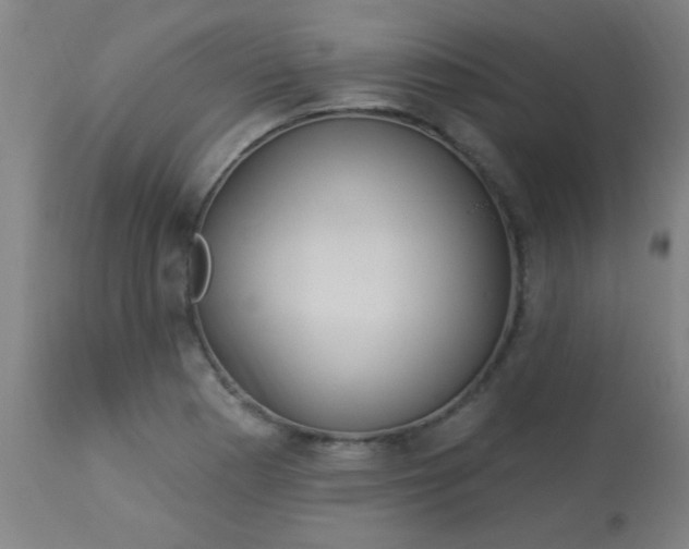 X0000114181177200910221707