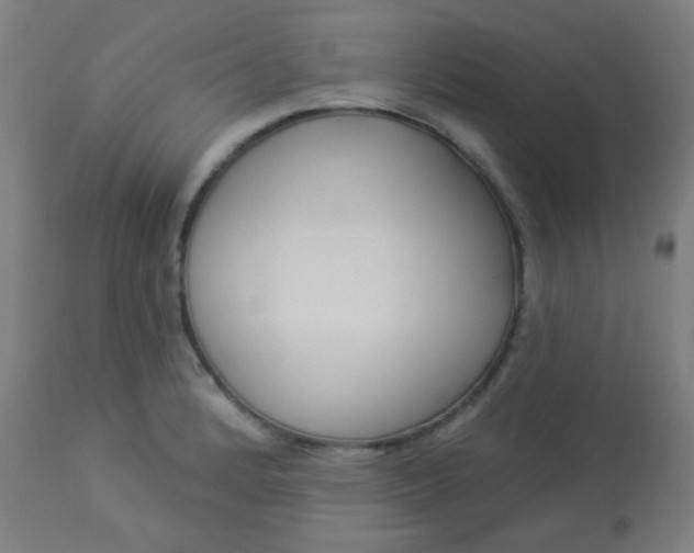 X0000114181184200910221706