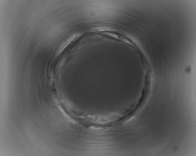 X0000114181185200910221706