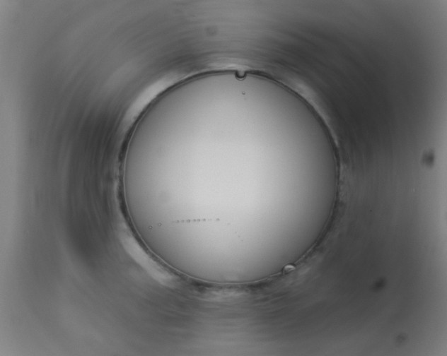 X0000114181187200910221706