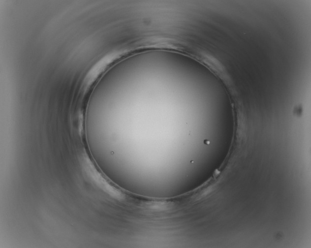 X0000114181188200910221706