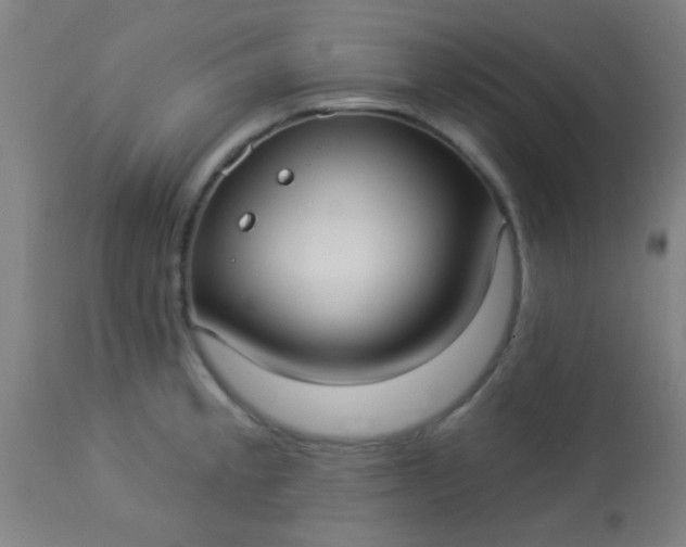 X0000114181189200910221706