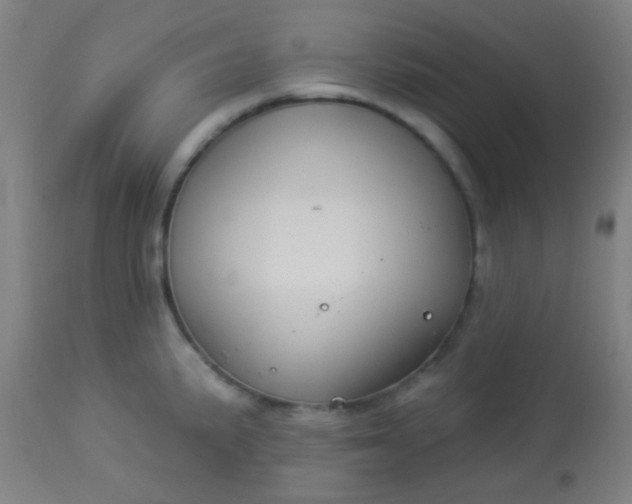 X0000114181191200910221706