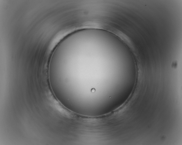 X0000114181192200910221706