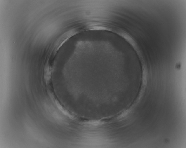 X0000114181193200910221706