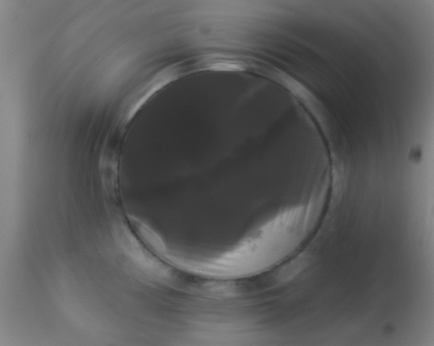 X0000114181194200910221706