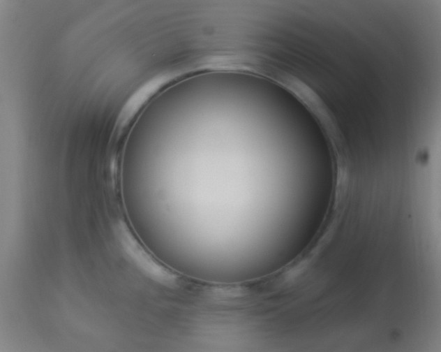 X0000114181196200910221706