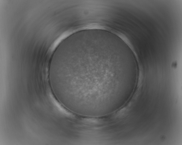 X0000114181197200910221706