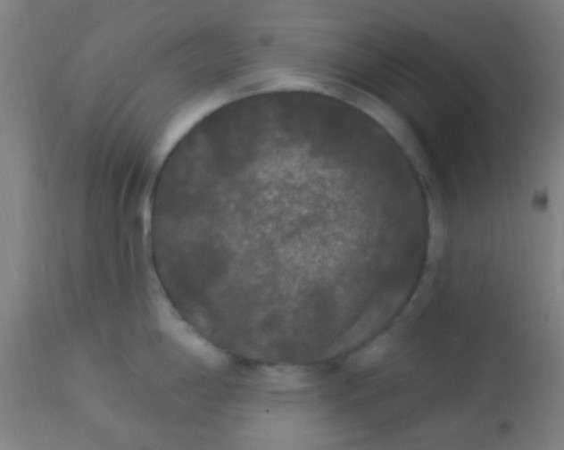 X0000114181198200910221706