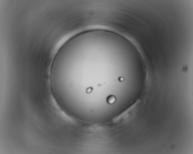 X0000114181199200910221706