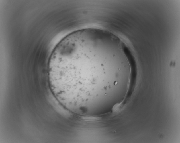 X0000114181200200910221706