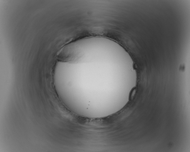 X0000114181201200910221705