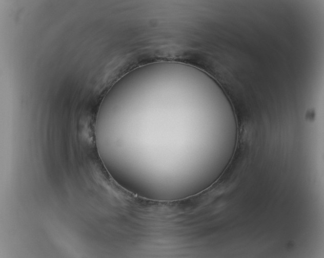 X0000114181202200910221705