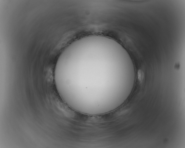 X0000114181203200910221705