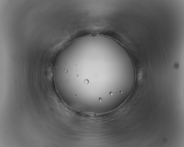 X0000114181204200910221705