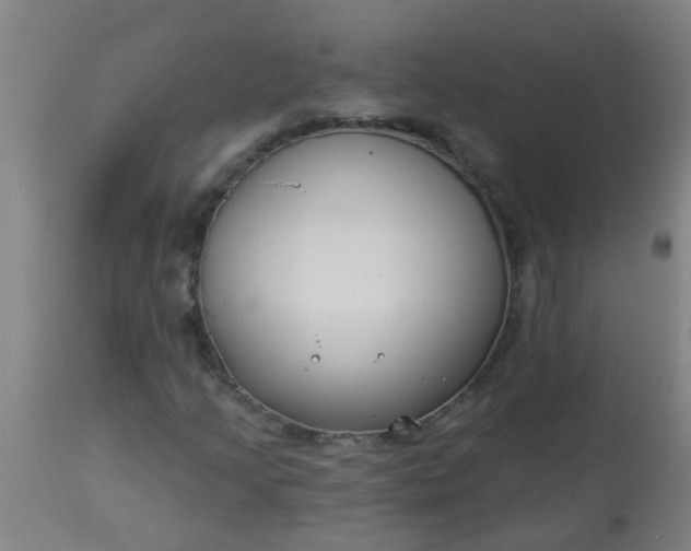 X0000114181205200910221705