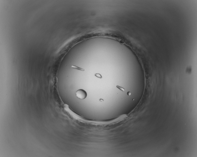 X0000114181206200910221706