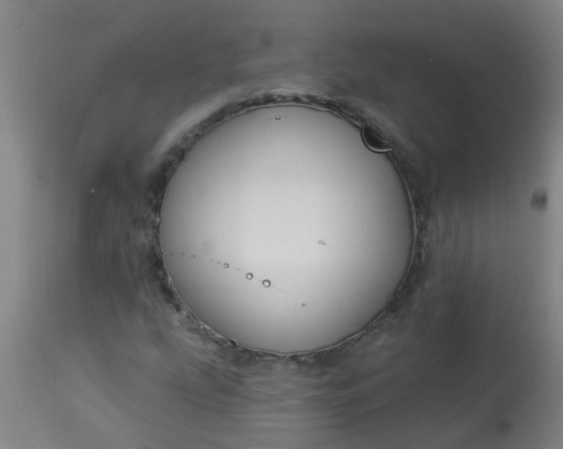 X0000114181207200910221706