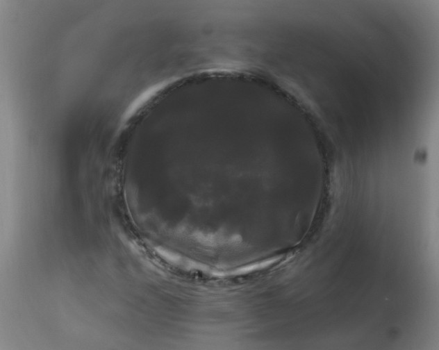 X0000114181208200910221706