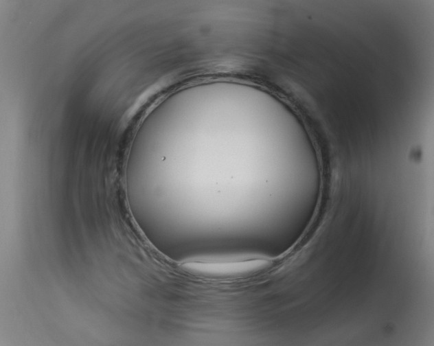 X0000114181210200910221706